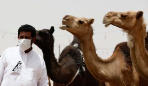 هشدار درباره شیوع ویروس مرس در عربستان؛ زائران حج هوشیار باشند
