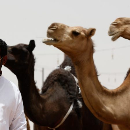 هشدار درباره شیوع ویروس مرس در عربستان؛ زائران حج هوشیار باشند