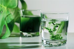 آیا کلروفیل می‌ تواند درمانی نوین برای دیابت باشد؟