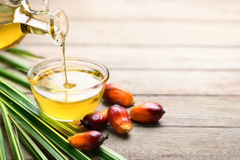 روغن پالم و تأثیر آن بر کلسترول خون: حقیقت علمی