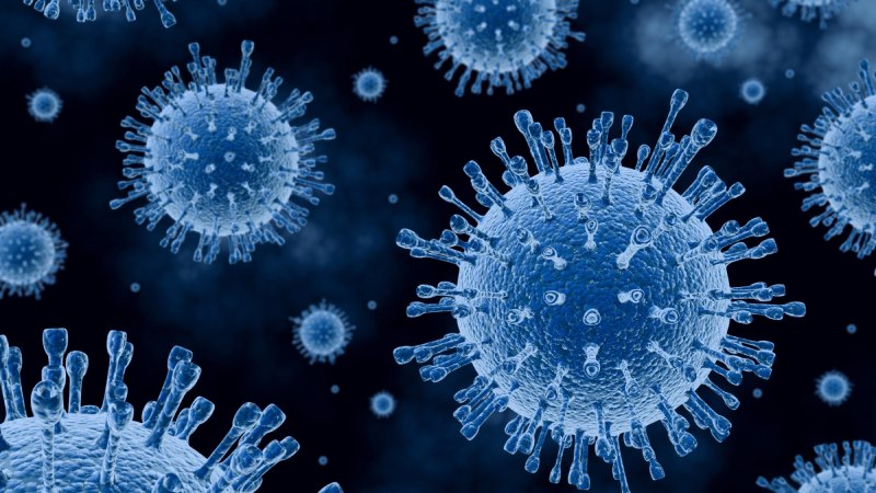 ورود ویروس جدید به ایران و آخرین وضعیت سلامت عمومی