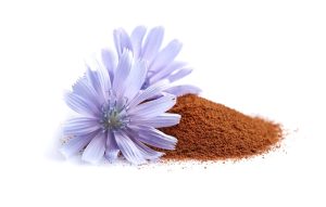کاسنی؛ گیاهی مفید برای پاکسازی خون و تقویت عملکرد کبد