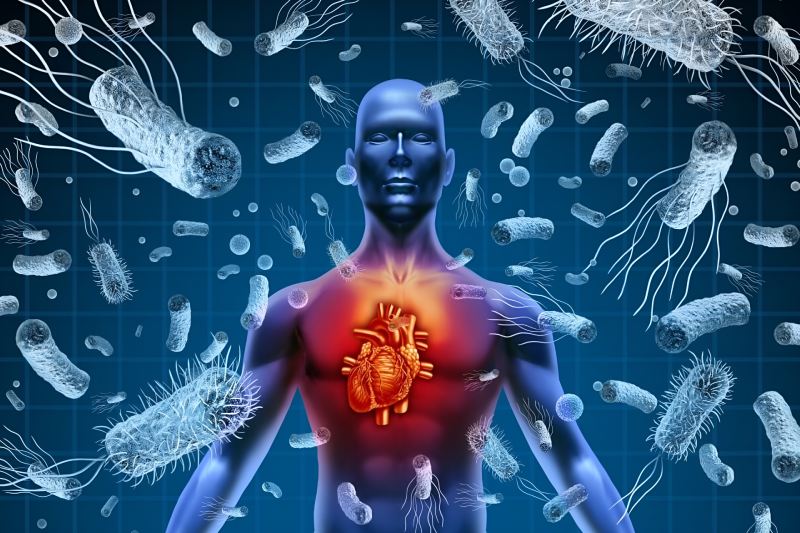 هشدار: عفونت باکتریایی می‌ تواند عامل پنهان حملات قلبی باشد