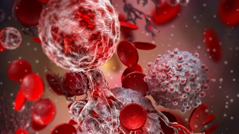 کشف نقطه ضعف جدید در سلول‌ های سرطانی؛ امید تازه‌ ای برای درمان سرطان خون