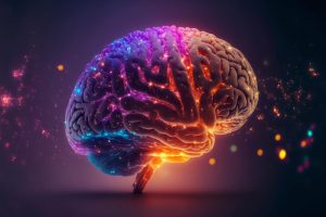 ۳ عادت ساده برای حفظ سلامت و جوان ماندن مغز