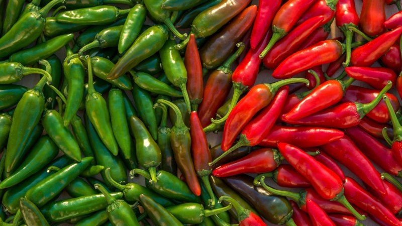 فلفل سبز؛ خوراکی تند و شگفت‌ انگیز برای سلامت
