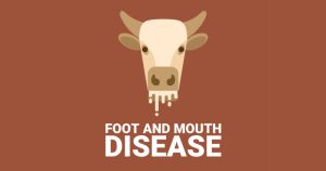 واکنش سازمان غذا و دارو به شیوع گسترده تب برفکی در دام‌ های کشور