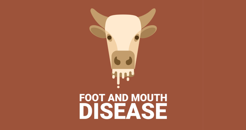 واکنش سازمان غذا و دارو به شیوع گسترده تب برفکی در دام‌ های کشور