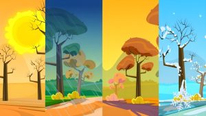 از زمستان تا تابستان: چگونگی تأثیر نور و تاریکی فصول بر احساسات، تمرکز و سلامت روان