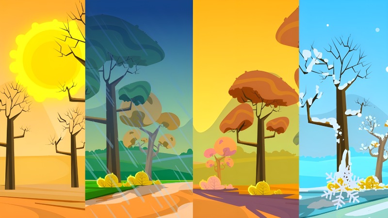 از زمستان تا تابستان: چگونگی تأثیر نور و تاریکی فصول بر احساسات، تمرکز و سلامت روان