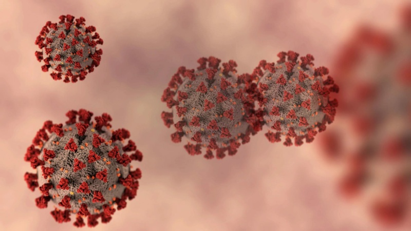 بازگشت کووید ۱۹: افزایش موارد، گونه‌ های جدید و ضرورت پایش و واکسیناسیون