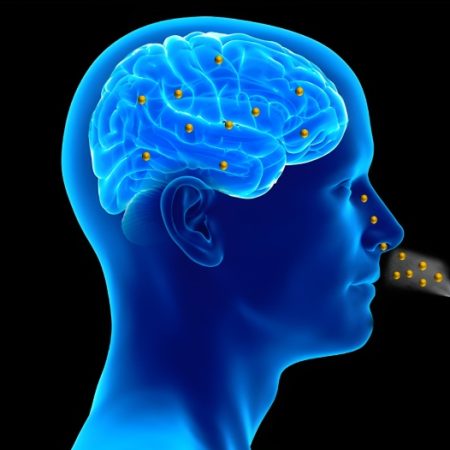 تحول جدید در پزشکی: قطره درمانی بینی برای مقابله با تومور های کشنده مغز