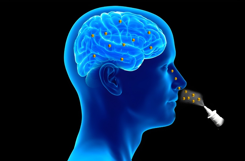 تحول جدید در پزشکی: قطره درمانی بینی برای مقابله با تومور های کشنده مغز