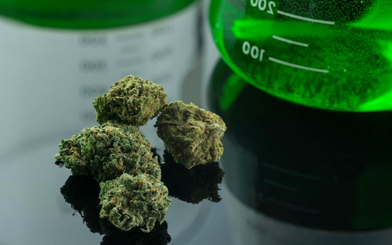 دستکاری ژنتیکی در مخدر گل؛ افزایش خطرات روانی و جسمی فراتر از حشیش