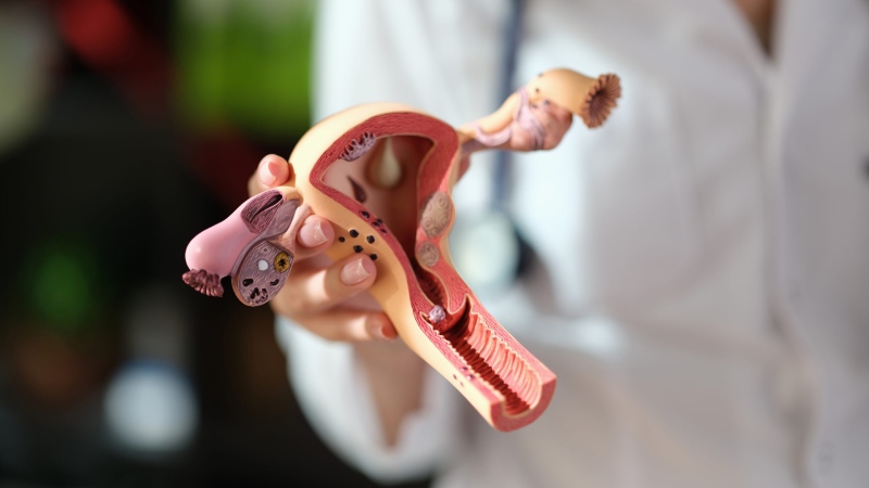 رابطه جنسی در دوران عفونت واژن: خطرات، عوارض و نکات پیشگیری