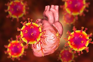 چگونه عفونت‌ های ویروسی خطر حمله قلبی و سکته را افزایش می‌ دهند