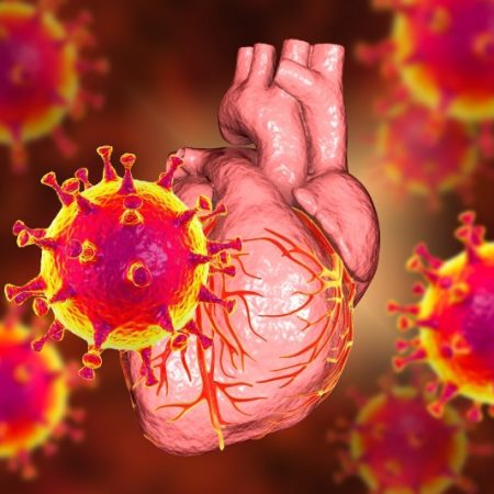 چگونه عفونت‌ های ویروسی خطر حمله قلبی و سکته را افزایش می‌ دهند