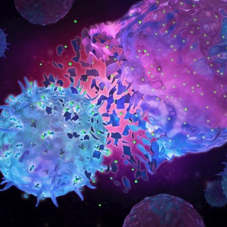 کشف راز تبدیل سلول‌ های ایمنی از مدافع به مهاجم؛ دریچه‌ ای نو به درمان بیماری‌ های خود ایمنی