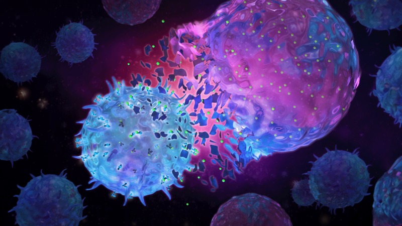 کشف راز تبدیل سلول‌ های ایمنی از مدافع به مهاجم؛ دریچه‌ ای نو به درمان بیماری‌ های خود ایمنی