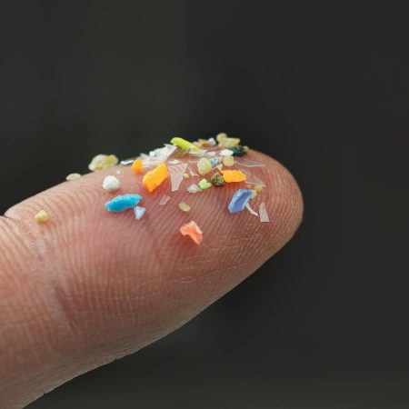 اثرات میکروپلاستیک ها بر شریان ها؛ خطر پنهان سکته قلبی و مغزی