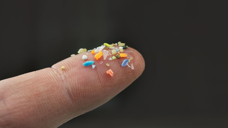 اثرات میکروپلاستیک ها بر شریان ها؛ خطر پنهان سکته قلبی و مغزی