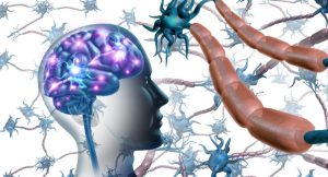 کشف دو زیرنوع جدید بیماری ام‌ اس توسط دانشمند ایرانی با کمک هوش مصنوعی