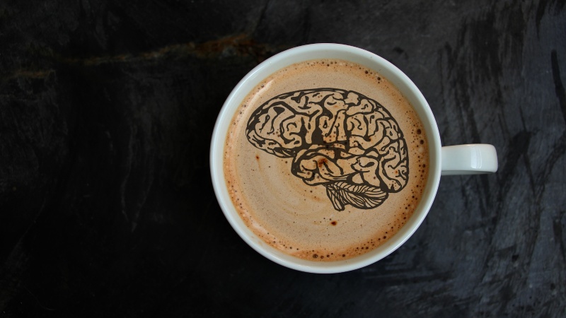 ساز و کار های تأثیر کافئین بر مغز