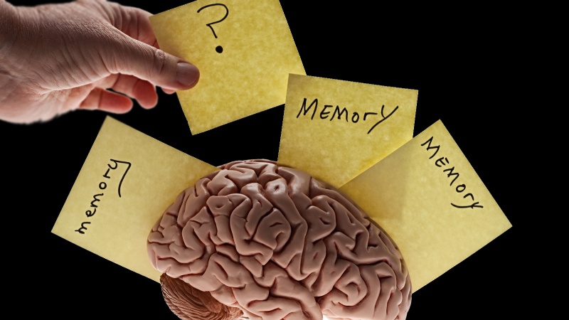 چرا ذهن ما خاطرات نادرست می‌ سازد؟