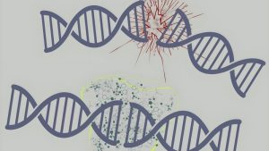 انقلاب جدید در ویرایش ژن؛ دانشمندان موفق به اصلاح دقیق DNA رویان انسان شدند
