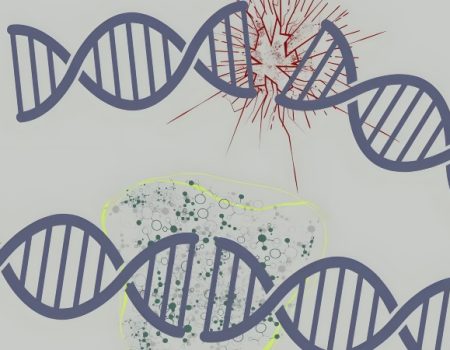 انقلاب جدید در ویرایش ژن؛ دانشمندان موفق به اصلاح دقیق DNA رویان انسان شدند