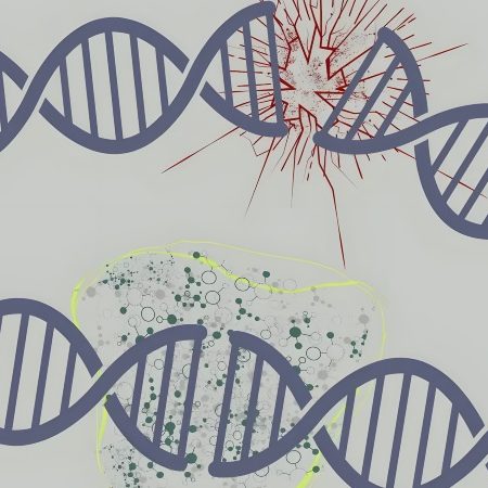 انقلاب جدید در ویرایش ژن؛ دانشمندان موفق به اصلاح دقیق DNA رویان انسان شدند