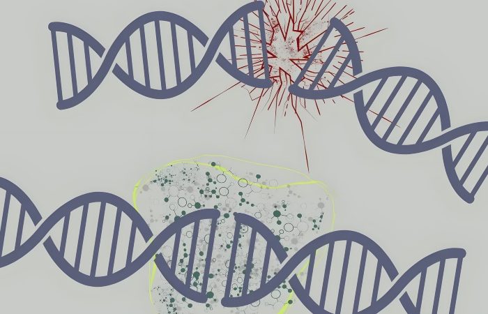 انقلاب جدید در ویرایش ژن؛ دانشمندان موفق به اصلاح دقیق DNA رویان انسان شدند