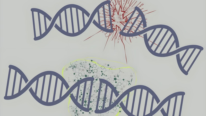 انقلاب جدید در ویرایش ژن؛ دانشمندان موفق به اصلاح دقیق DNA رویان انسان شدند