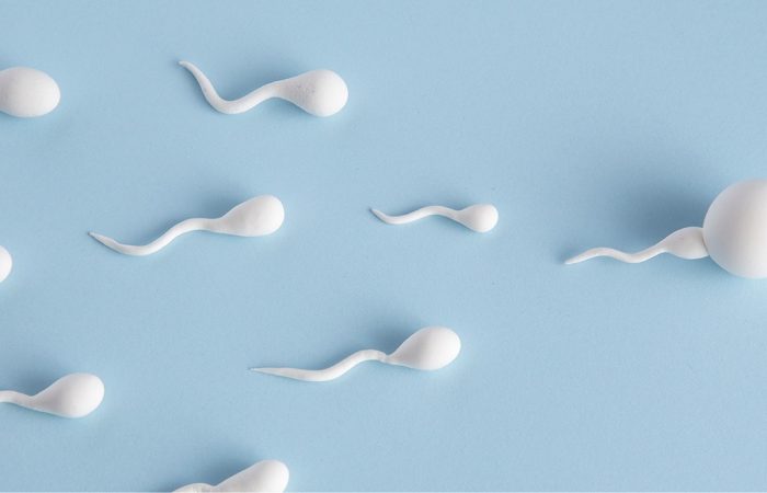 ماده شیمیایی رایج و کاهش کیفیت اسپرم مردان؛ DEHP چه تاثیری بر باروری دارد؟