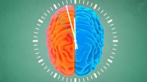 یادگیری زبان در سالمندی چه تاثیری بر مغز و حافظه دارد؟